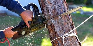 Best Lawn Watering Services  in Helena Valley Northwest, MT